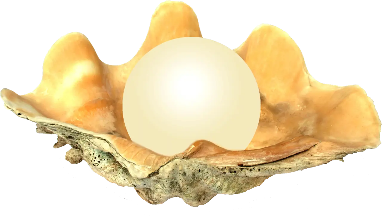 Precious Pearl Inside a Shell