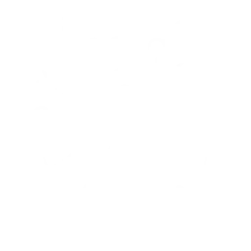 Abstract Snowflake Logo Design
