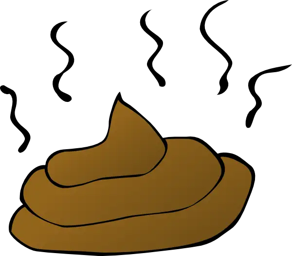 Funny Brown Poop Cartoony Emoji Illustration