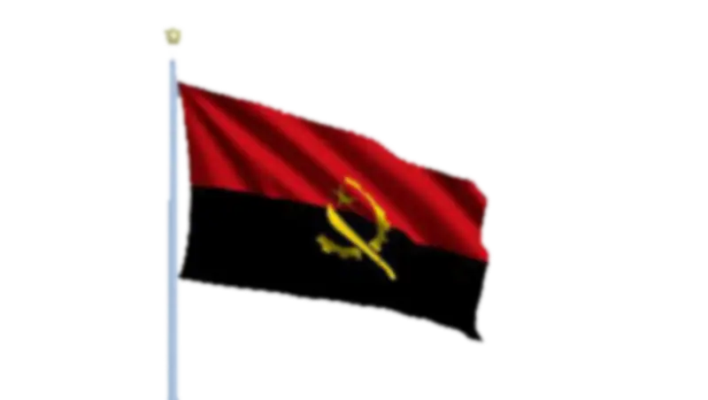 Angola National Flag
