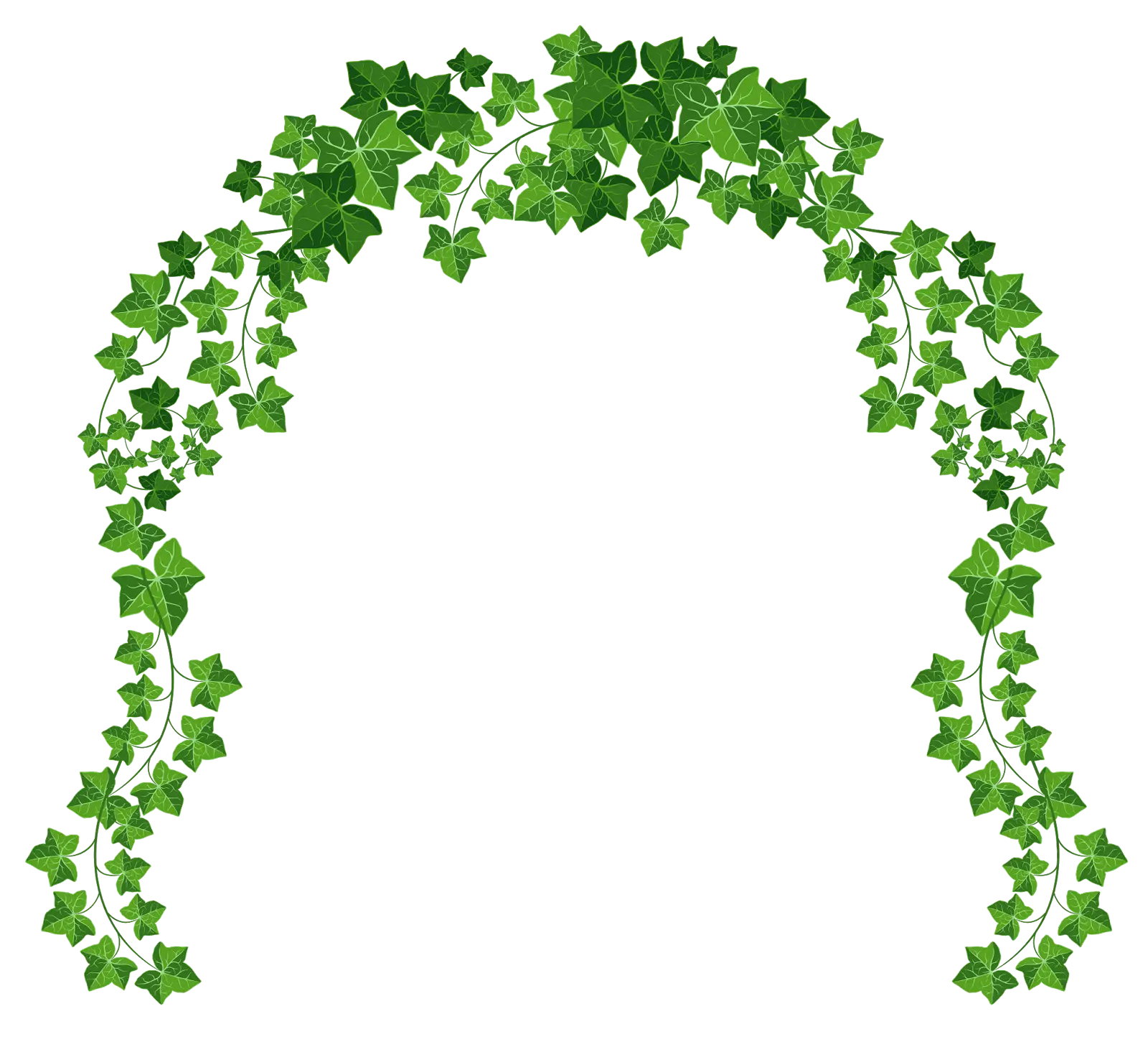 Green Ivy Arch with Natural Leaves Decoration