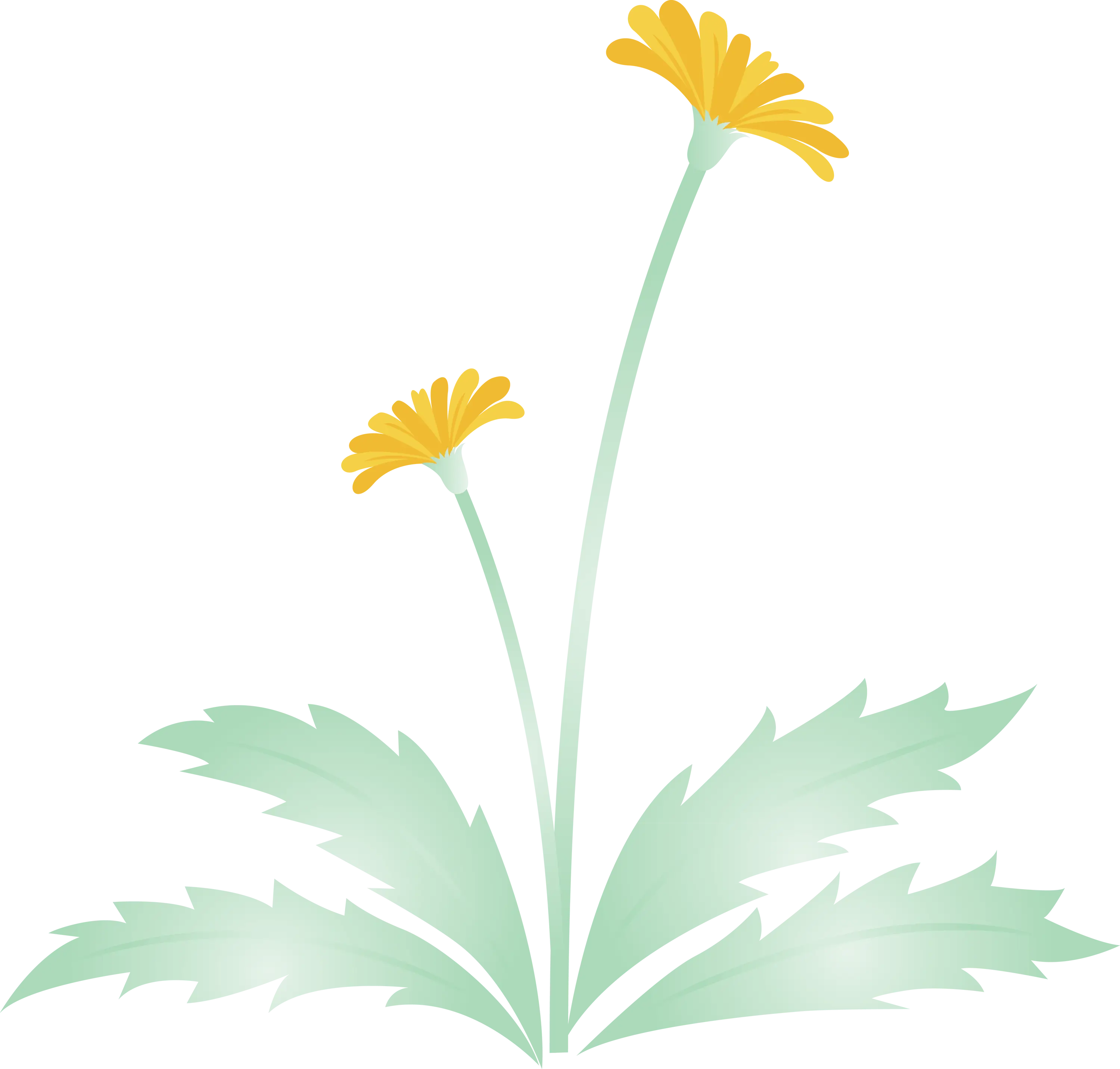 Yellow Flowers with Green Leaves Illustration
