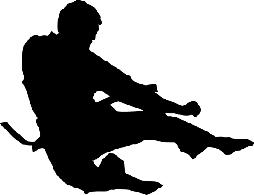 Martial Artist Silhouette in Dynamic Pose