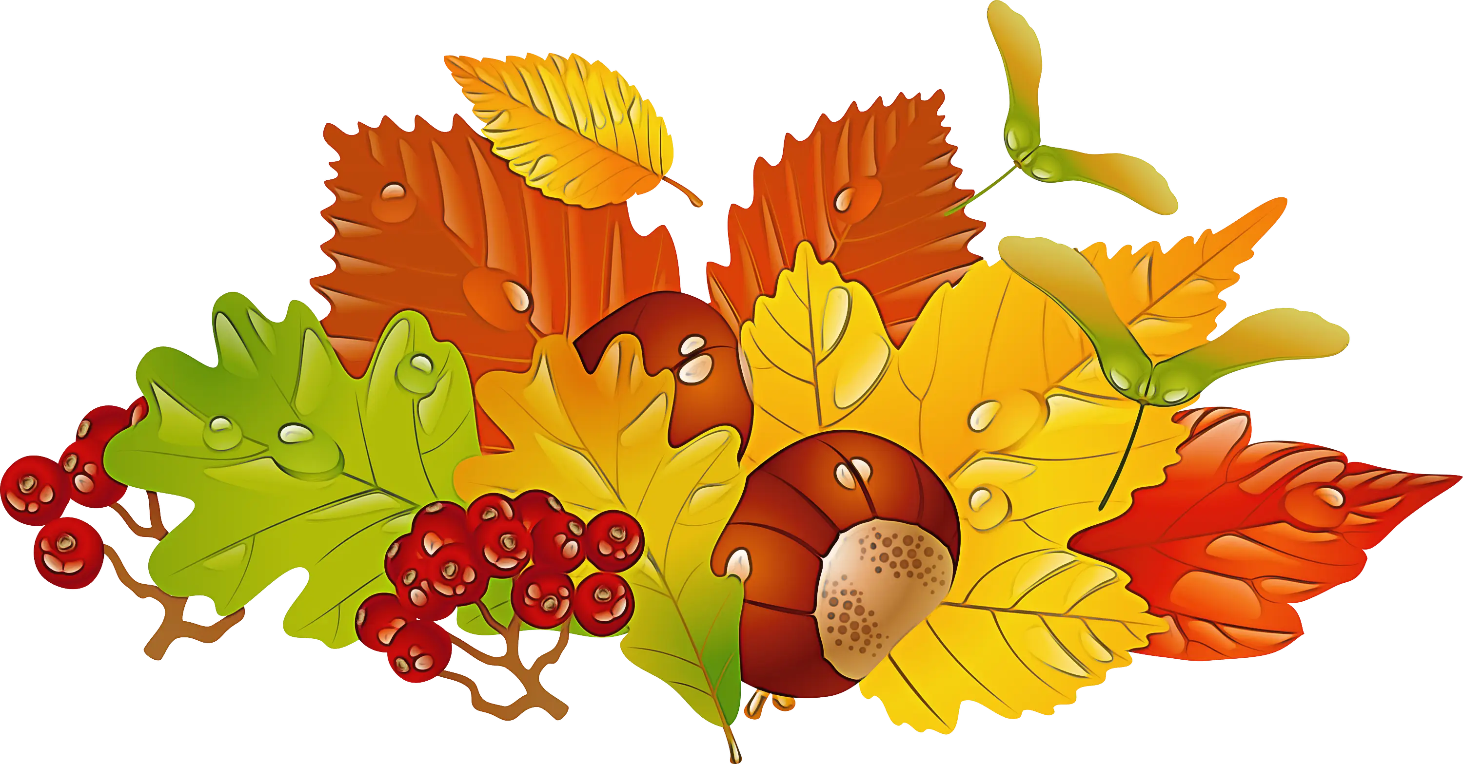 Autumn Leaves and Berries Illustration for Fall Decoration