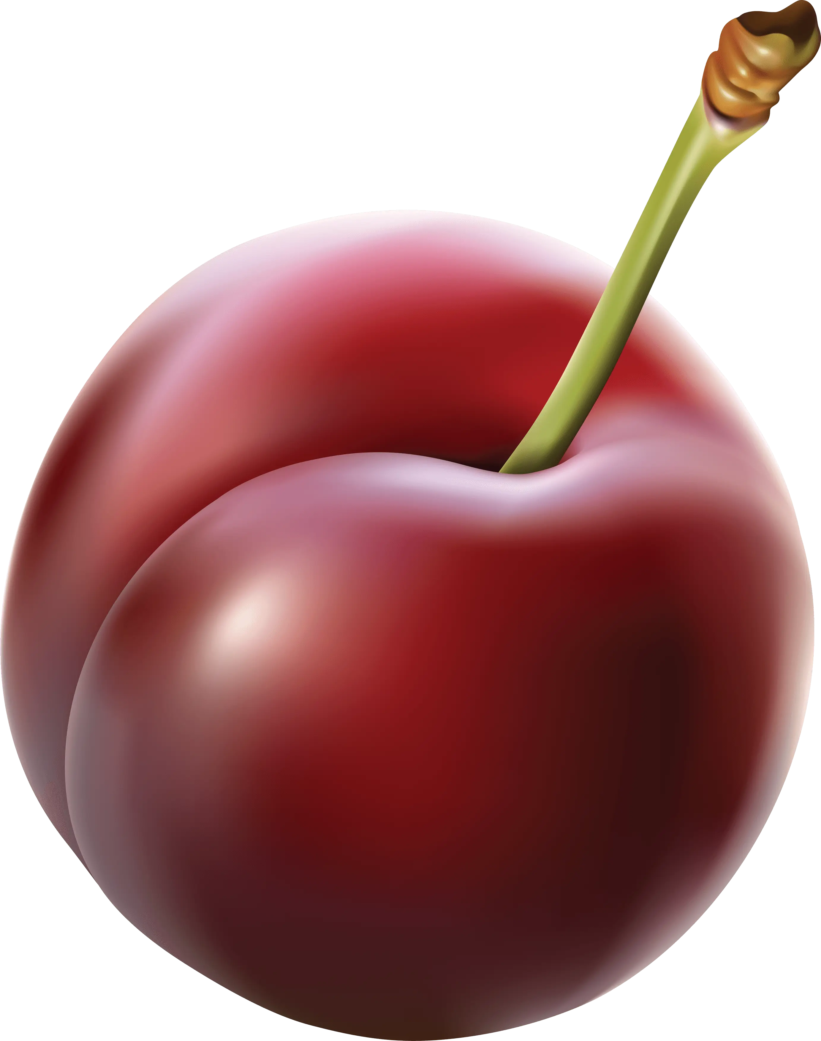 Shiny Red Cherry Illustration