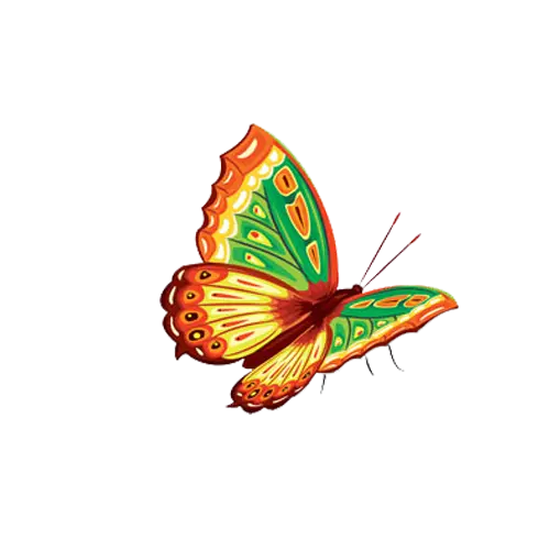 Colorful Green and Orange Butterfly Illustration