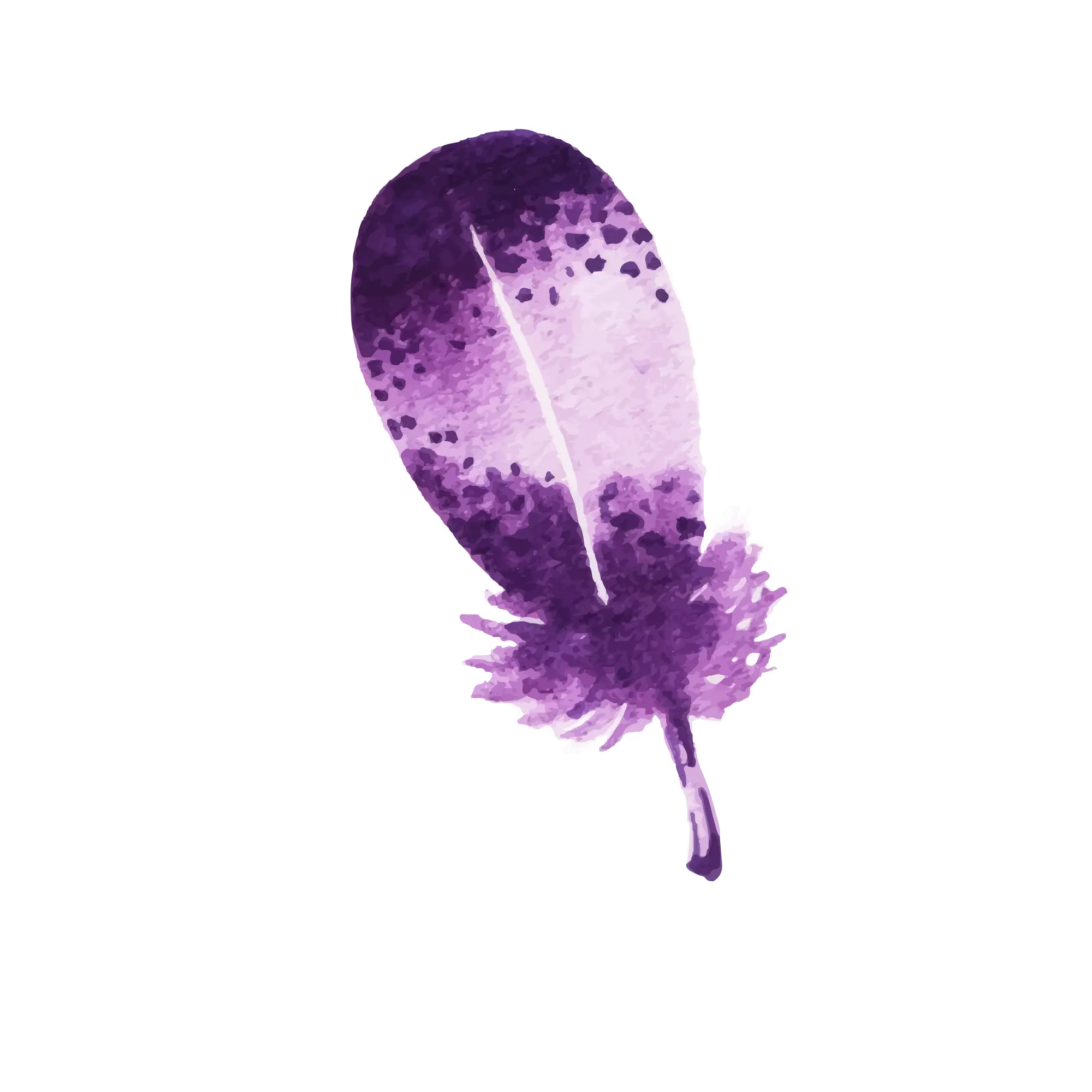Delicate Purple Feather Illustration