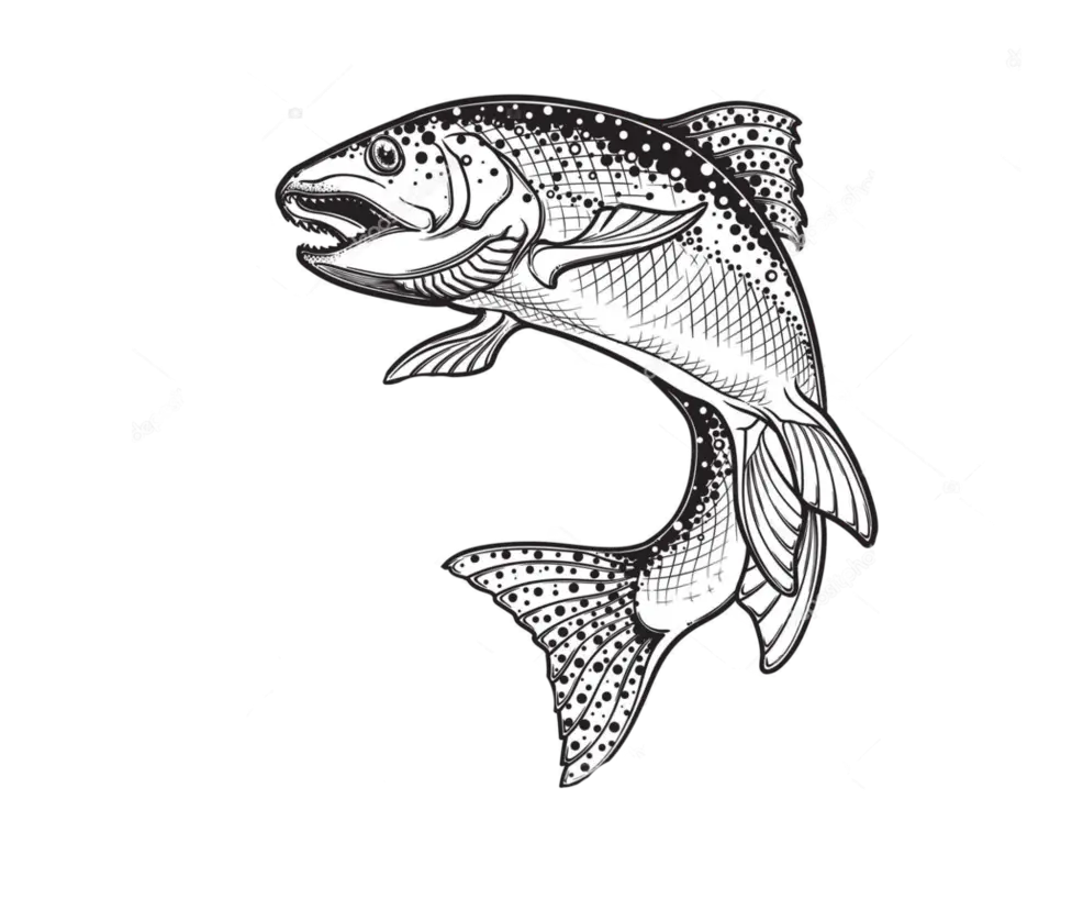 Black and White Fish Drawing
