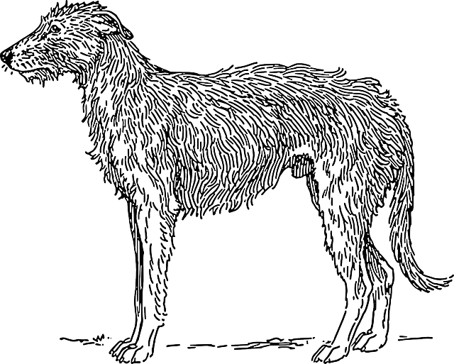 Sketched Dog Figure in Artistic Style