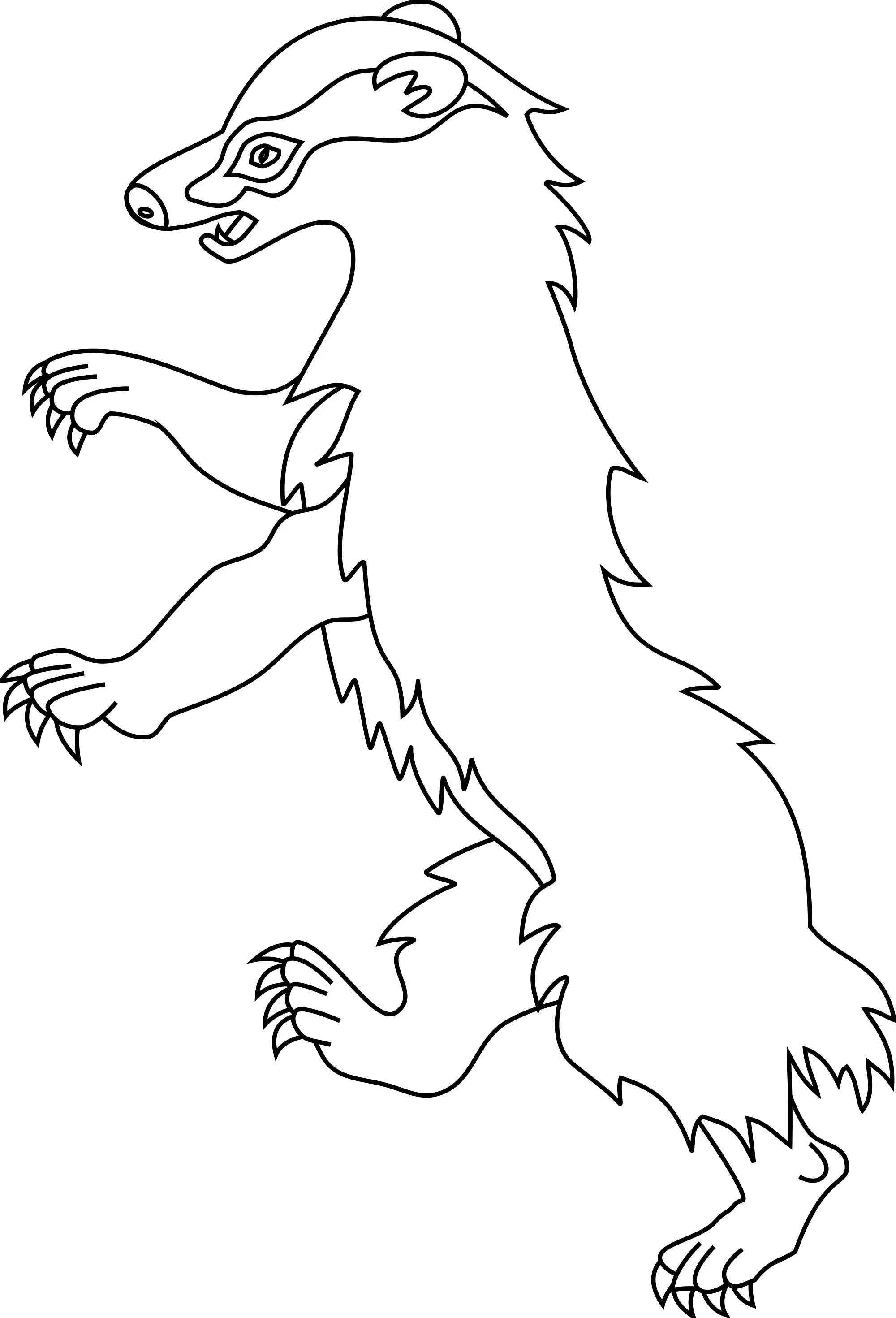 Badger Drawing Illustration