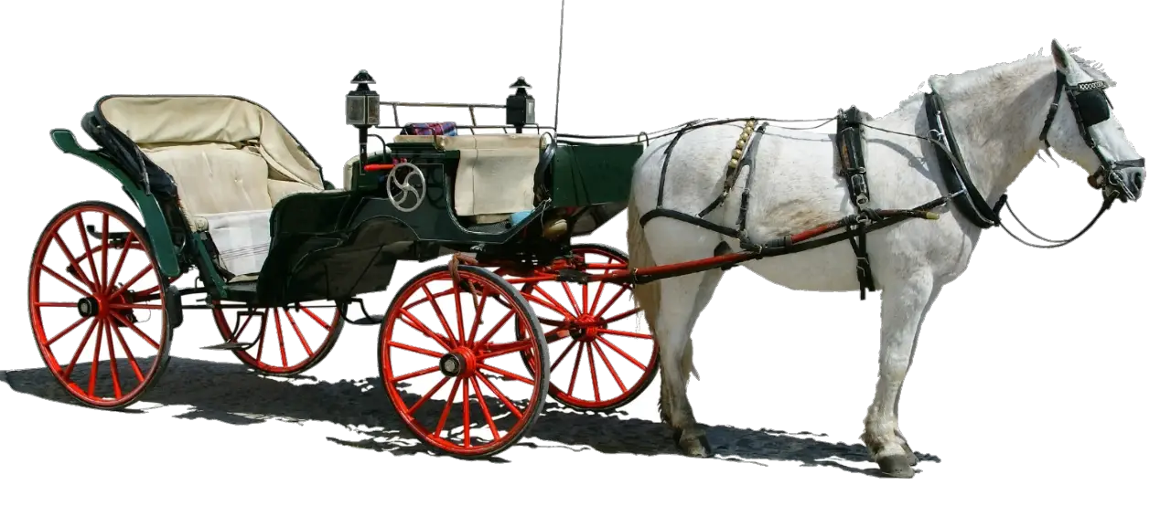 Horse Carriage with Green and Red Design
