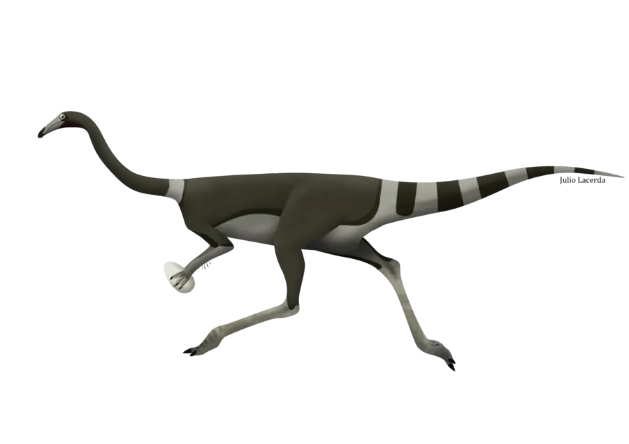 Dinosaur Cartoon Illustration
