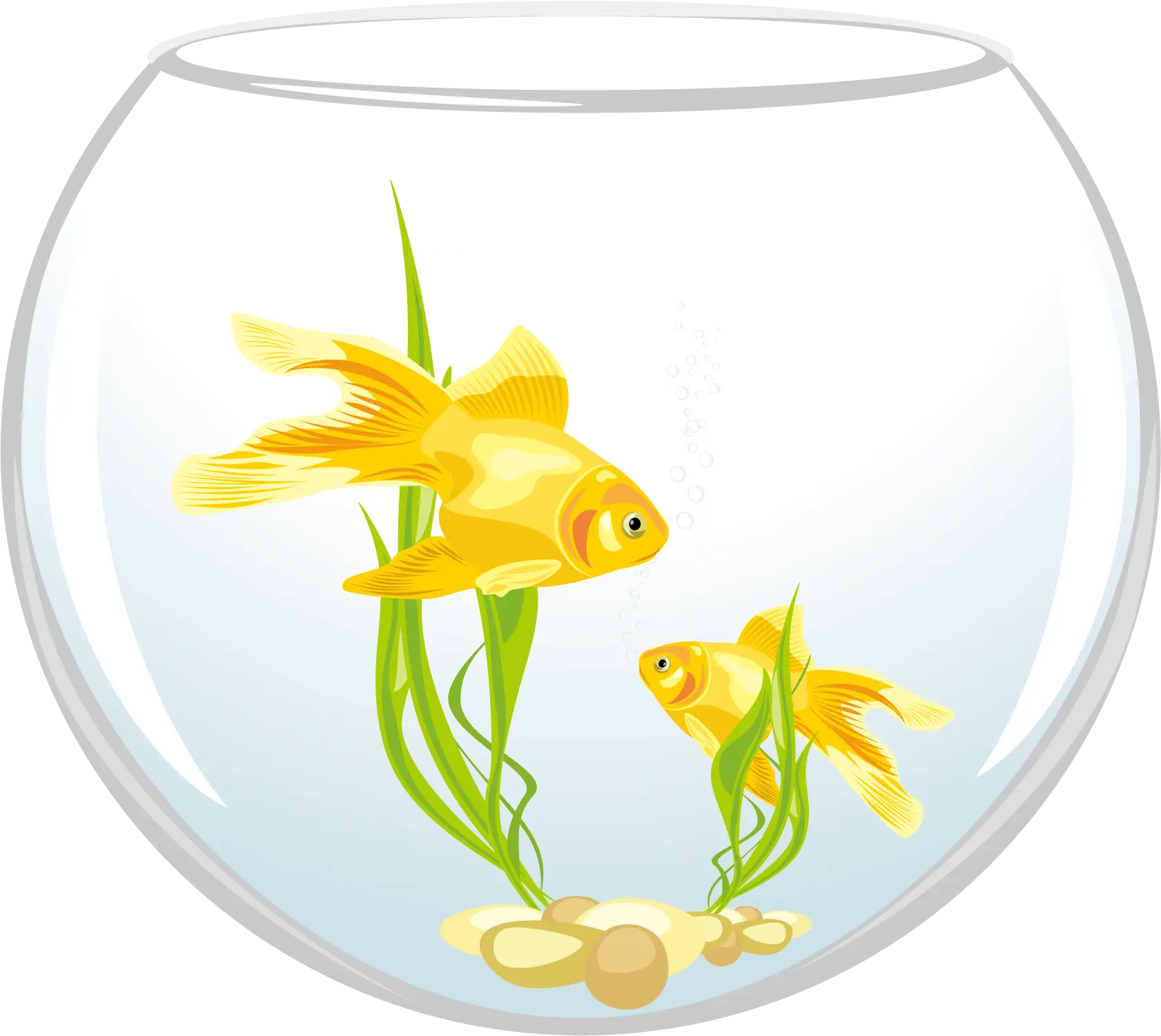 Goldfish in Fishbowl