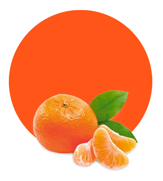 Bright Orange Fruit Illustration