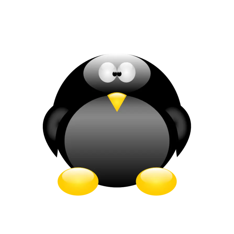 Cute Cartoon Penguin with Yellow Feet