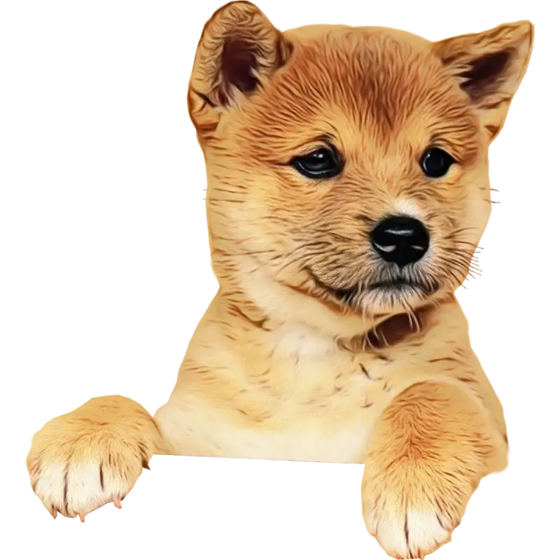 Adorable Golden Fur Puppy Illustration