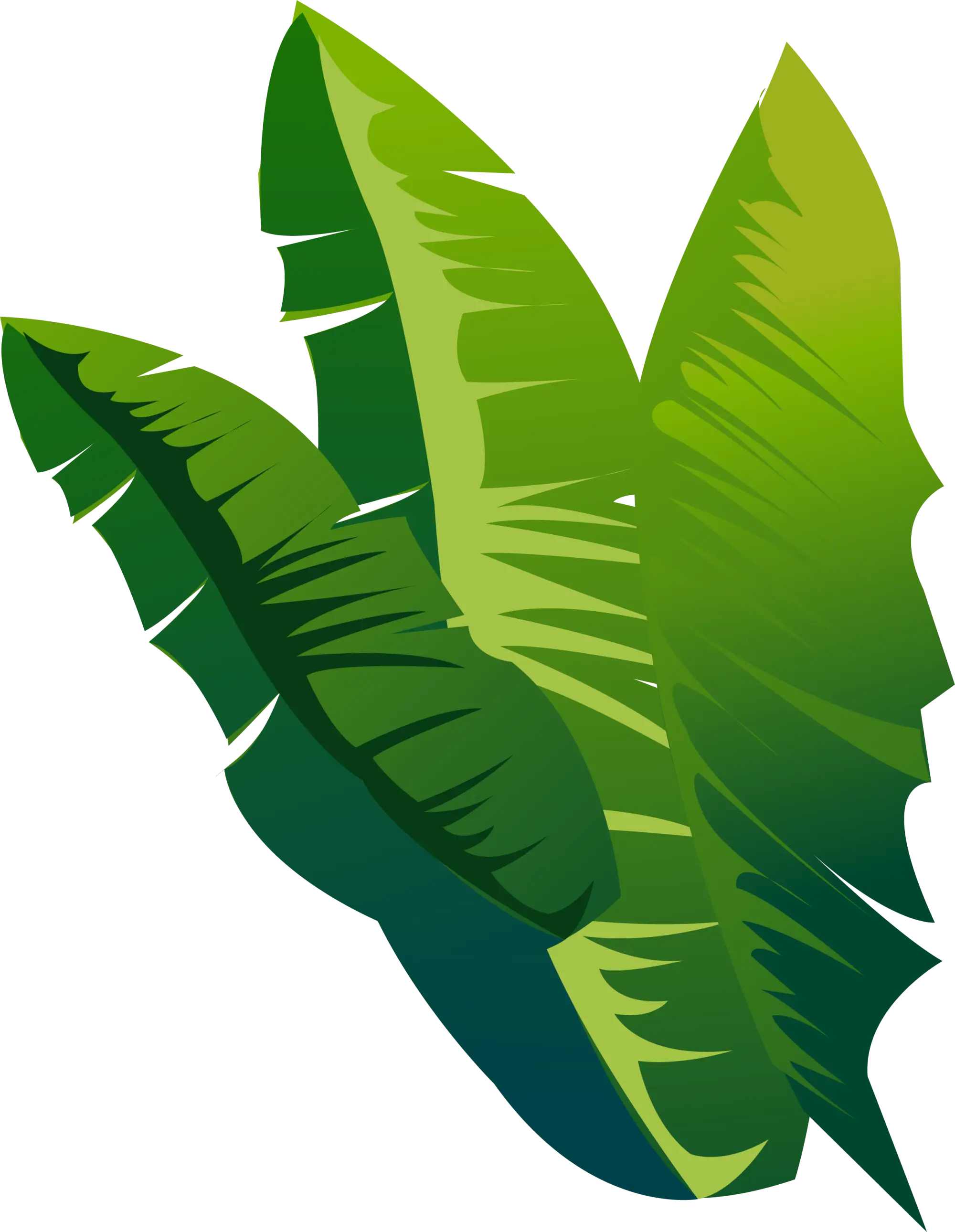 Green Tropical Leaves Illustration