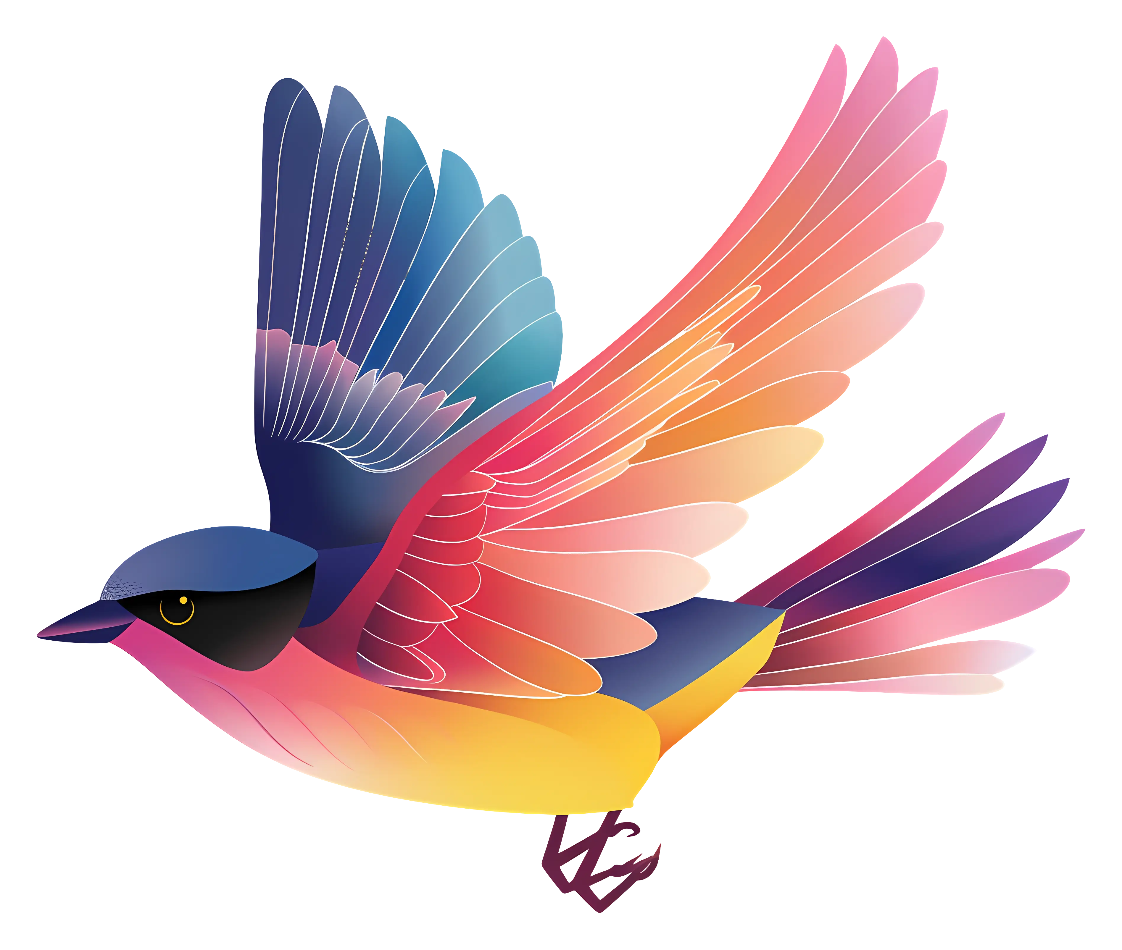 Colorful Bird Flying Illustration