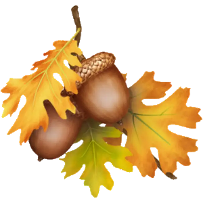 Acorns with Autumn Leaves