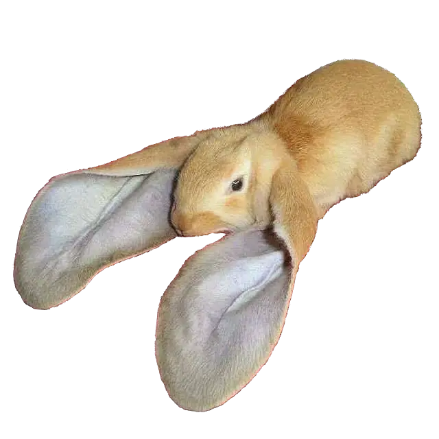 Brown Rabbit with Long Ears