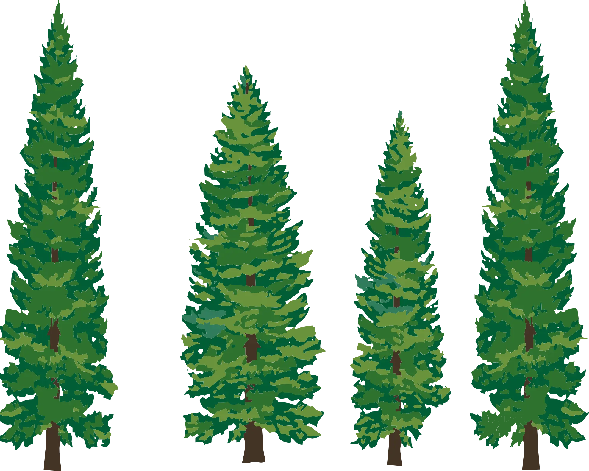 Tall Green Pine Trees