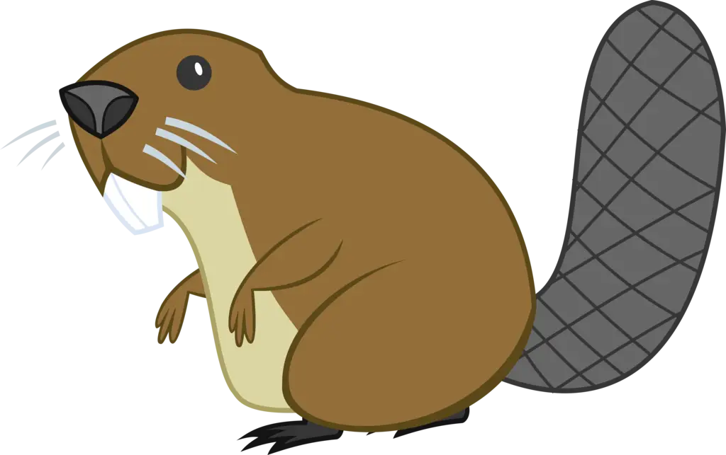 Cartoon Beaver with Large Tail