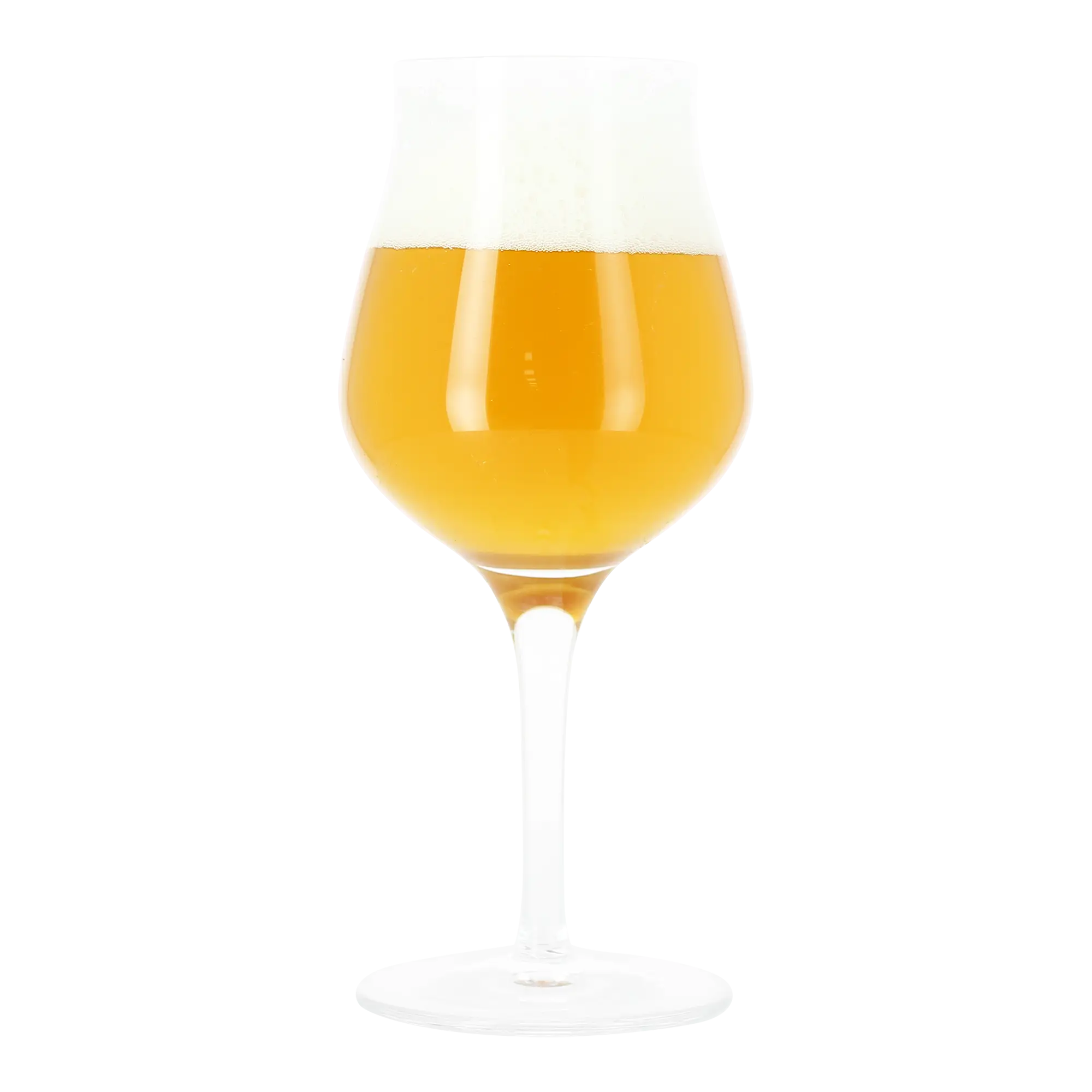 Golden Beer in Elegant Tulip Glass
