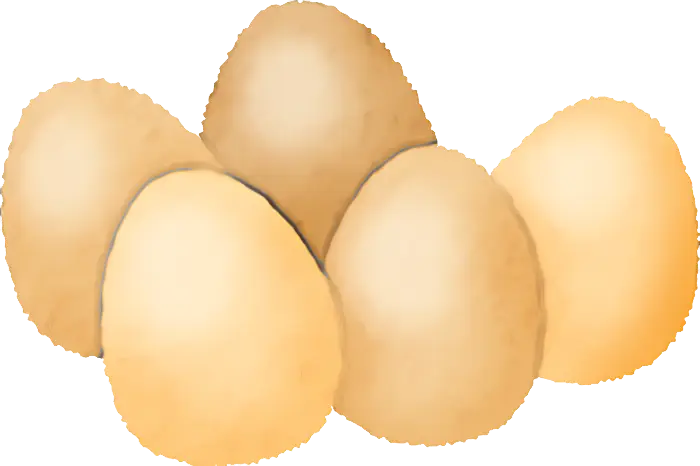 Cluster of Eggs