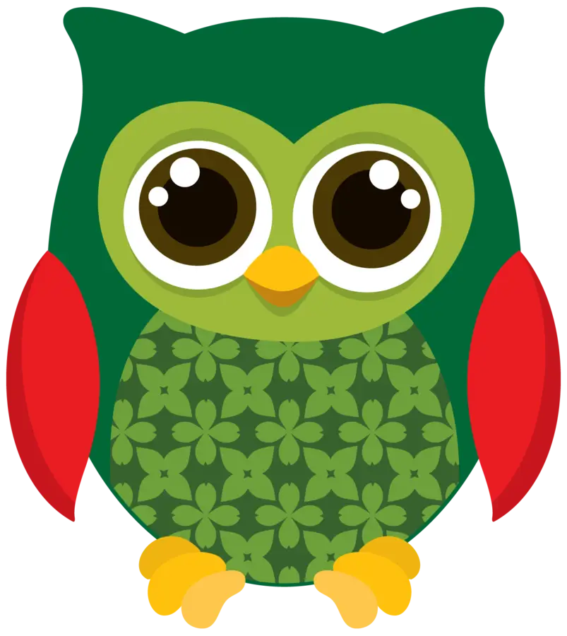 Cartoon Owl With Floral Pattern