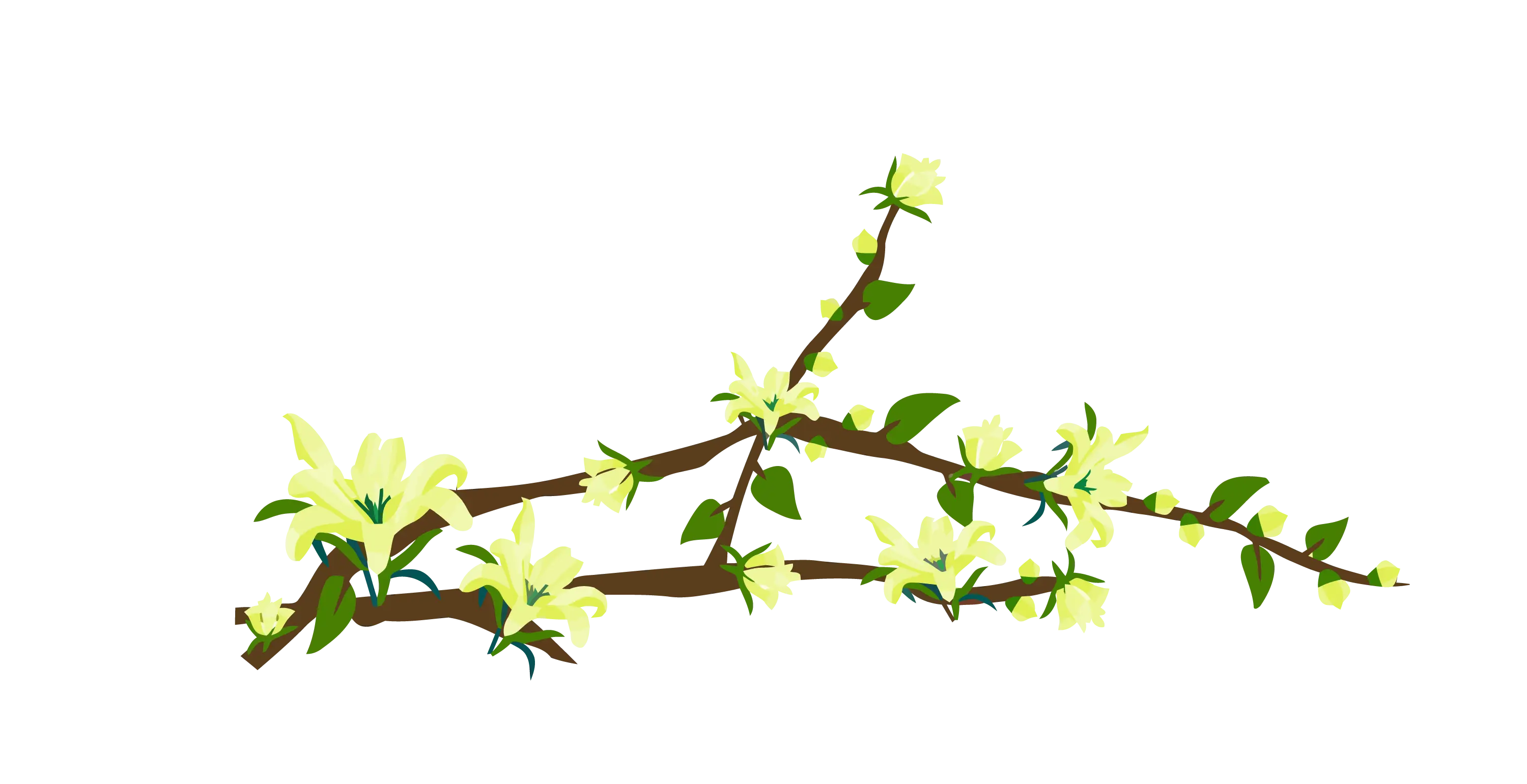Fresh Flowering Tree Branch