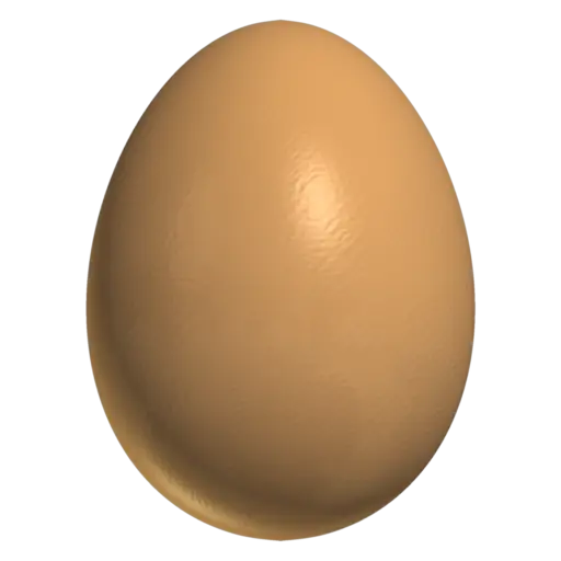 Brown Egg Illustration
