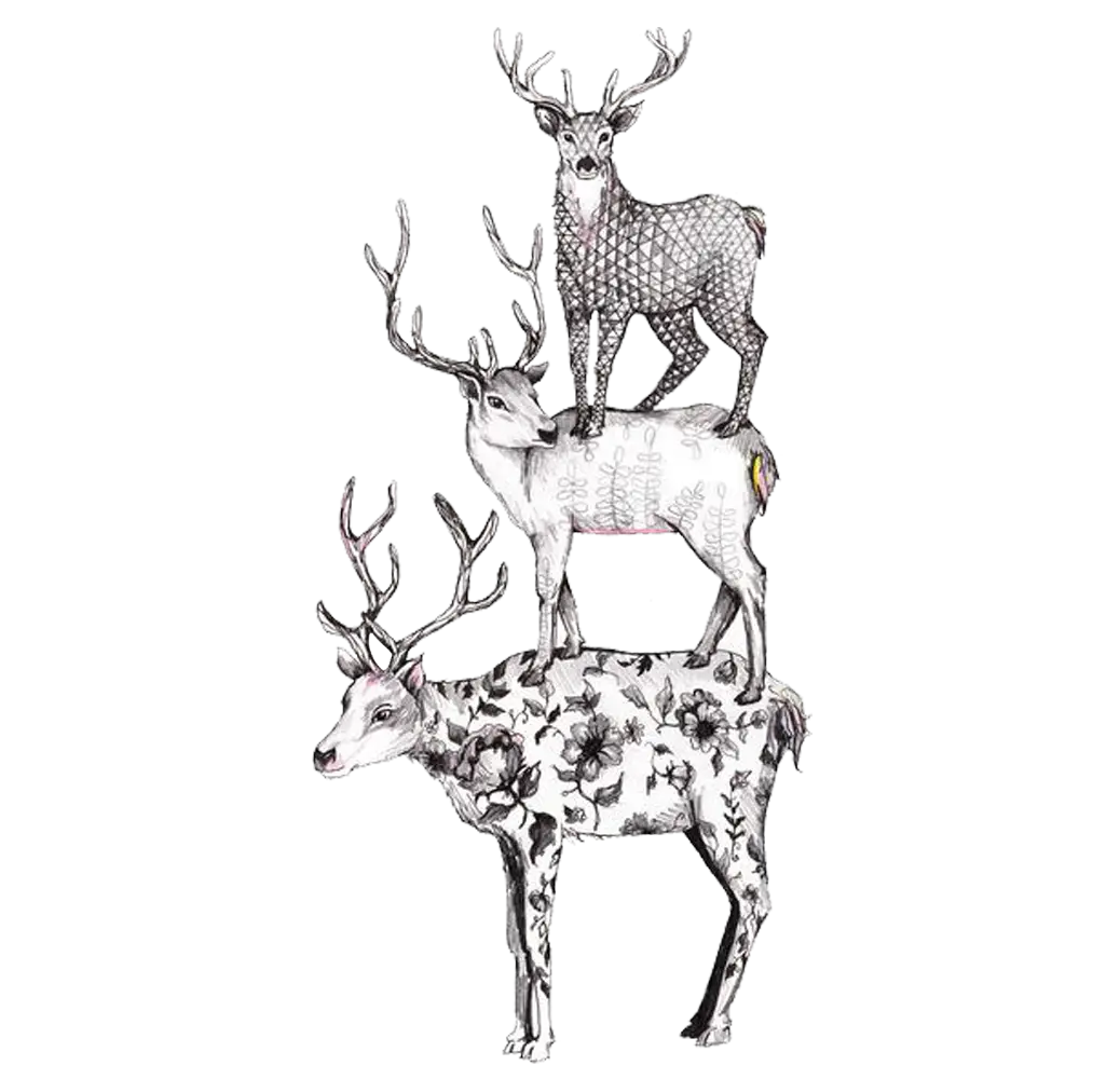 Stacked Deer Illustration