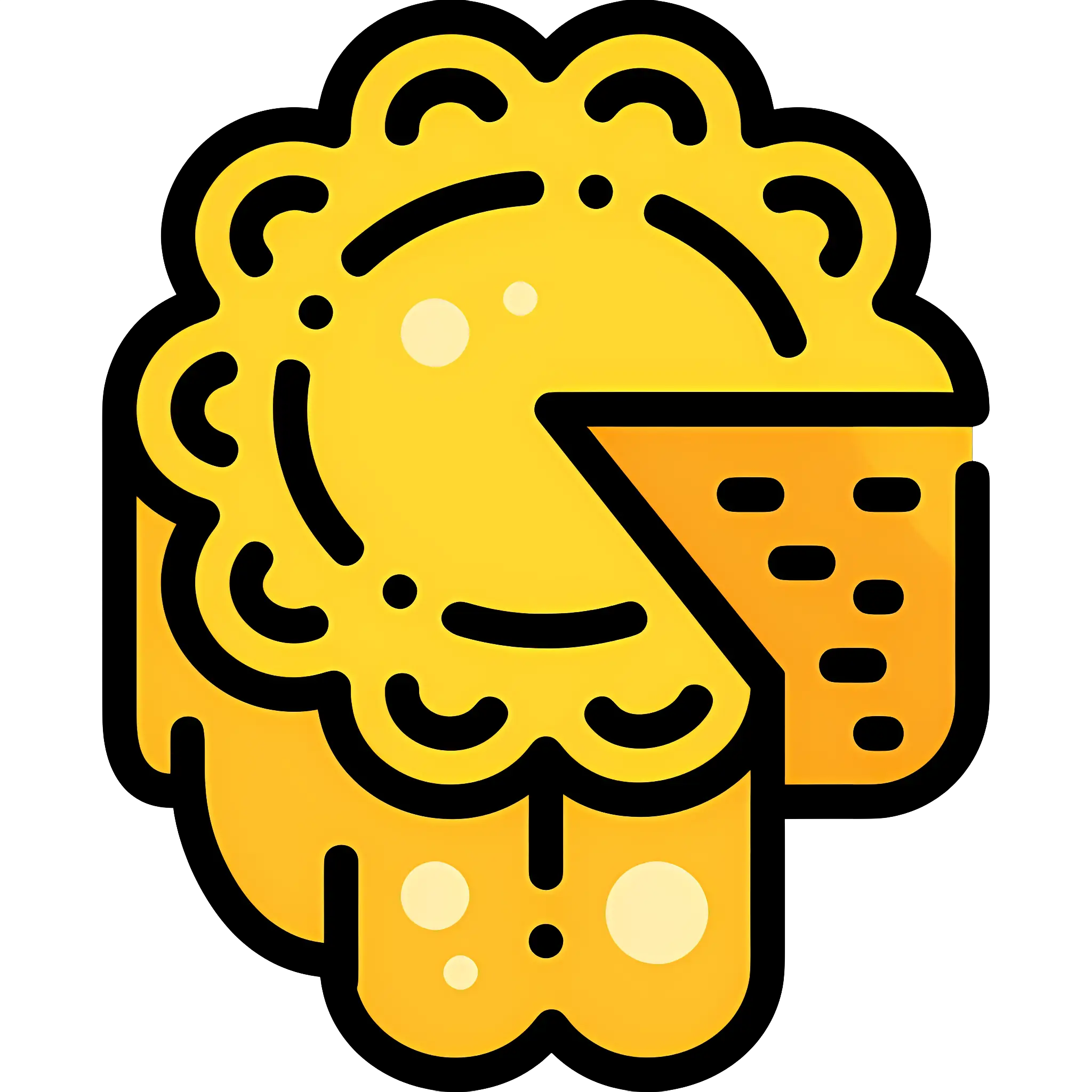 Yellow Cheese with Slice