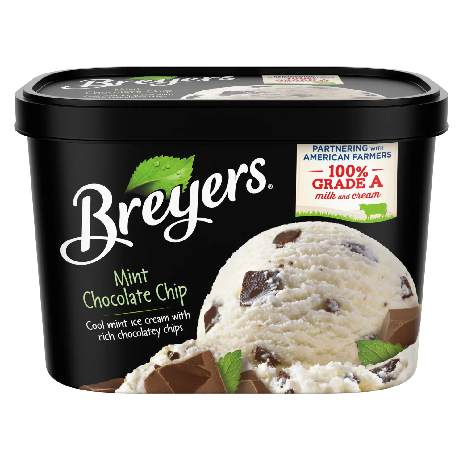 Breyers Mint Chocolate Chip Ice Cream