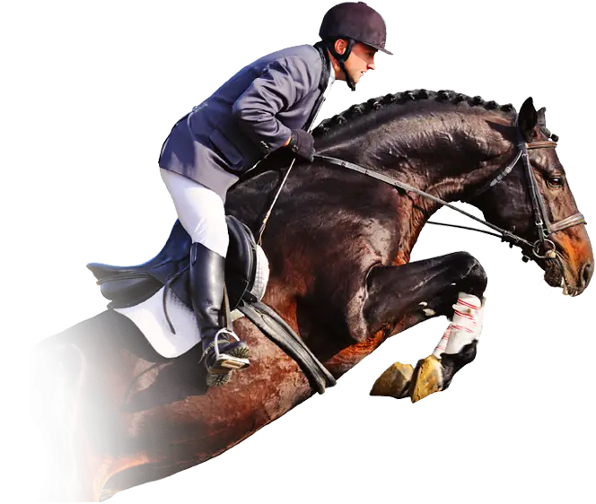 Equestrian Jumping Scene