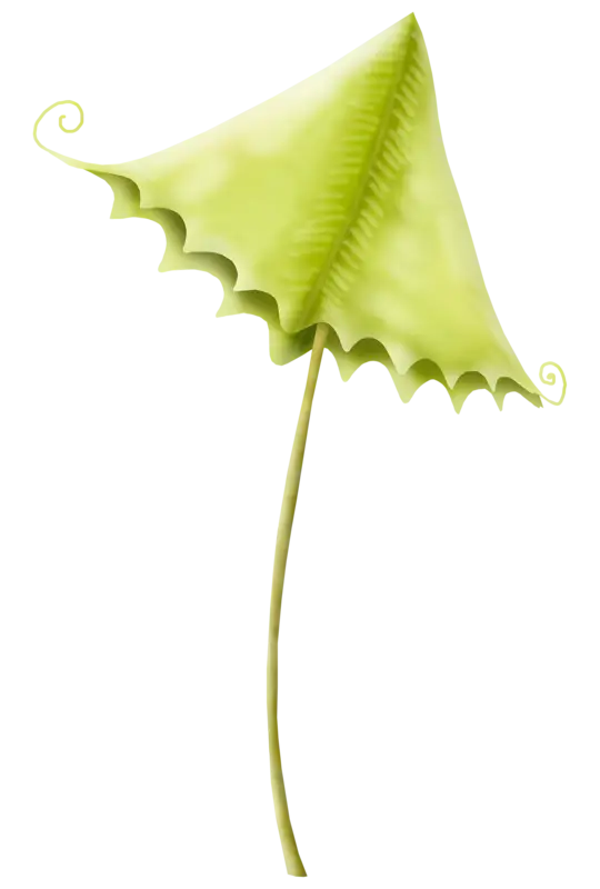 Green Leaf Illustration