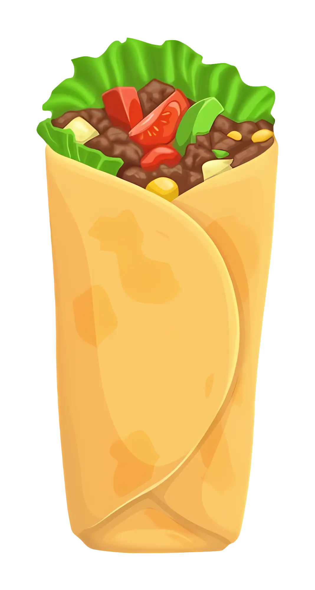 Delicious Burrito with Vegetables