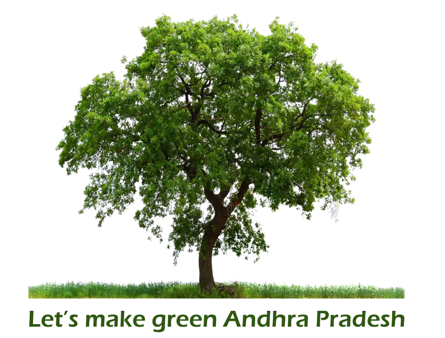 Green Tree for Environmental Campaign