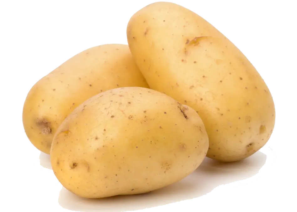 Three Yellow Potatoes