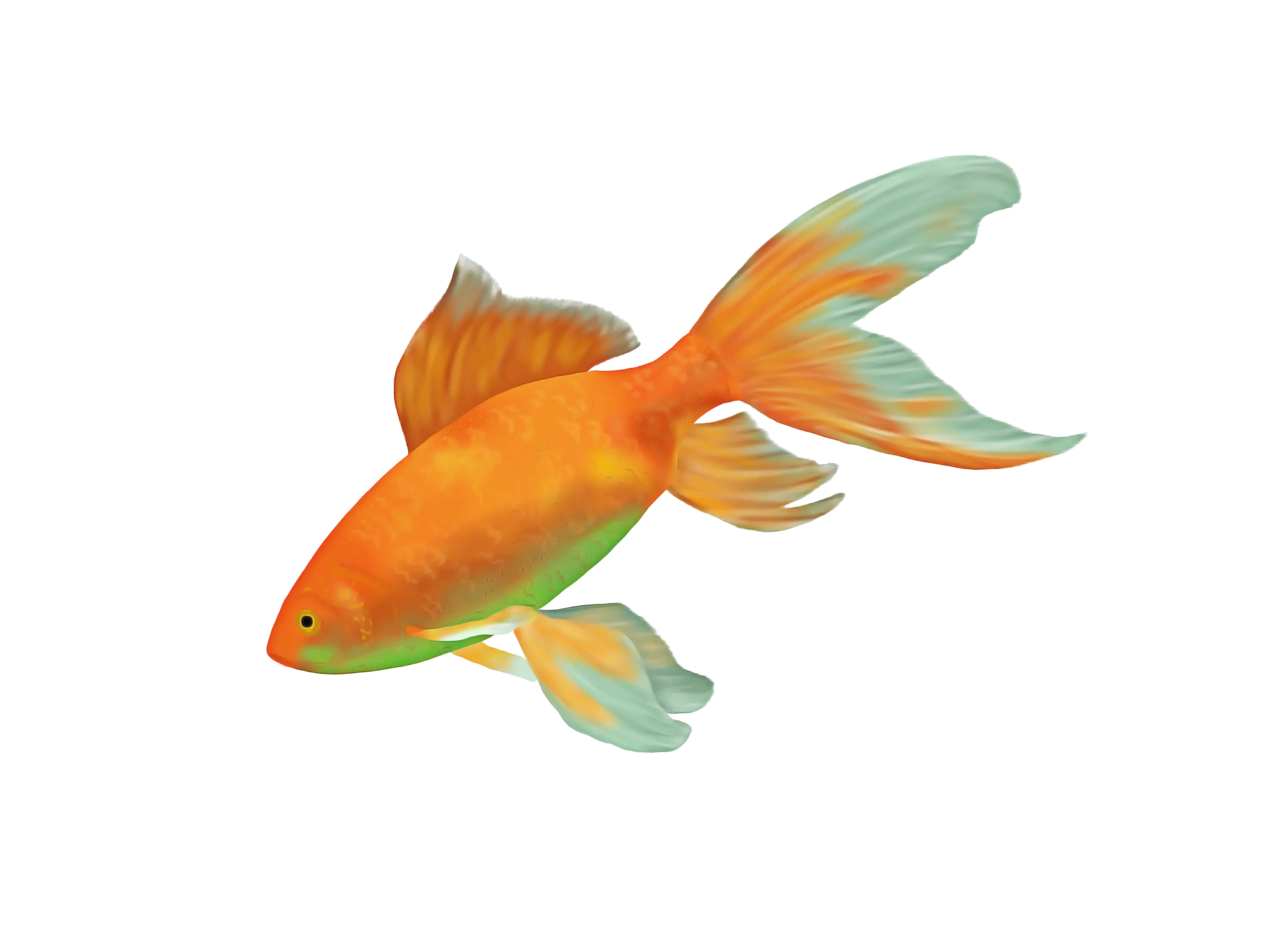 Beautiful Goldfish Art Illustration