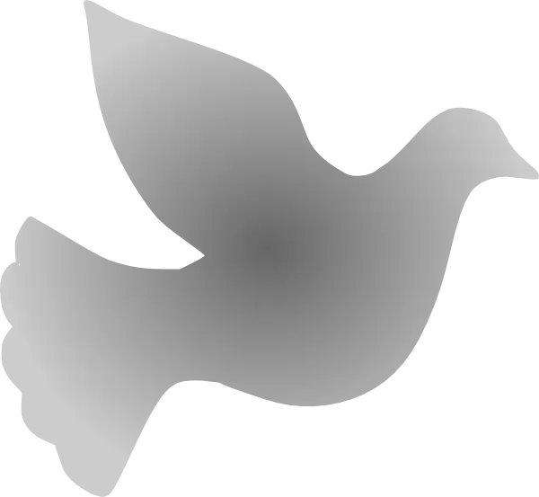 Gray Dove Silhouette