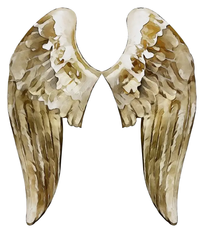 Delicate Watercolor Angel Wings
