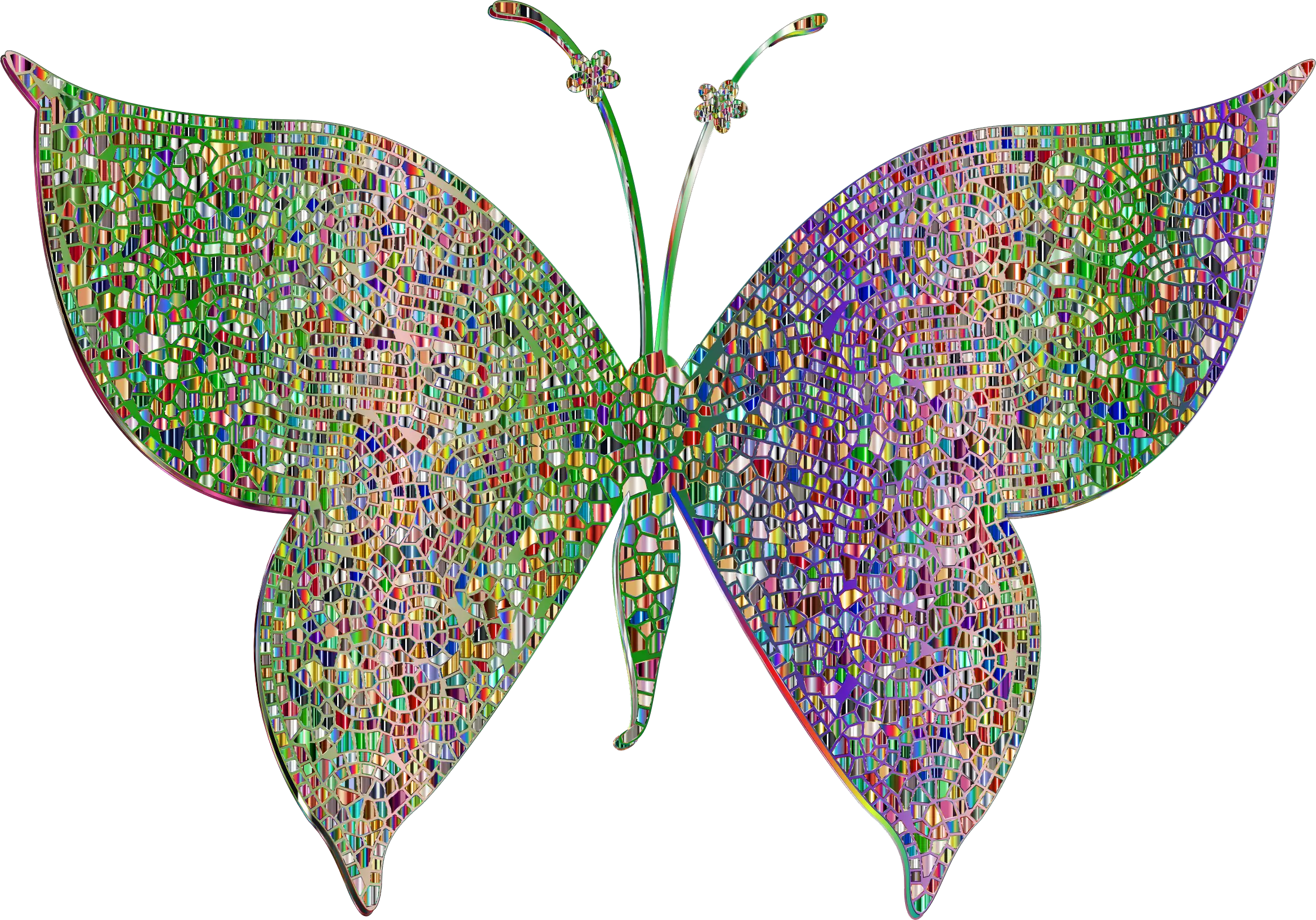 Colorful Butterfly Artistic Illustration