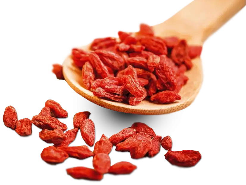 Goji Berries on Wooden Spoon