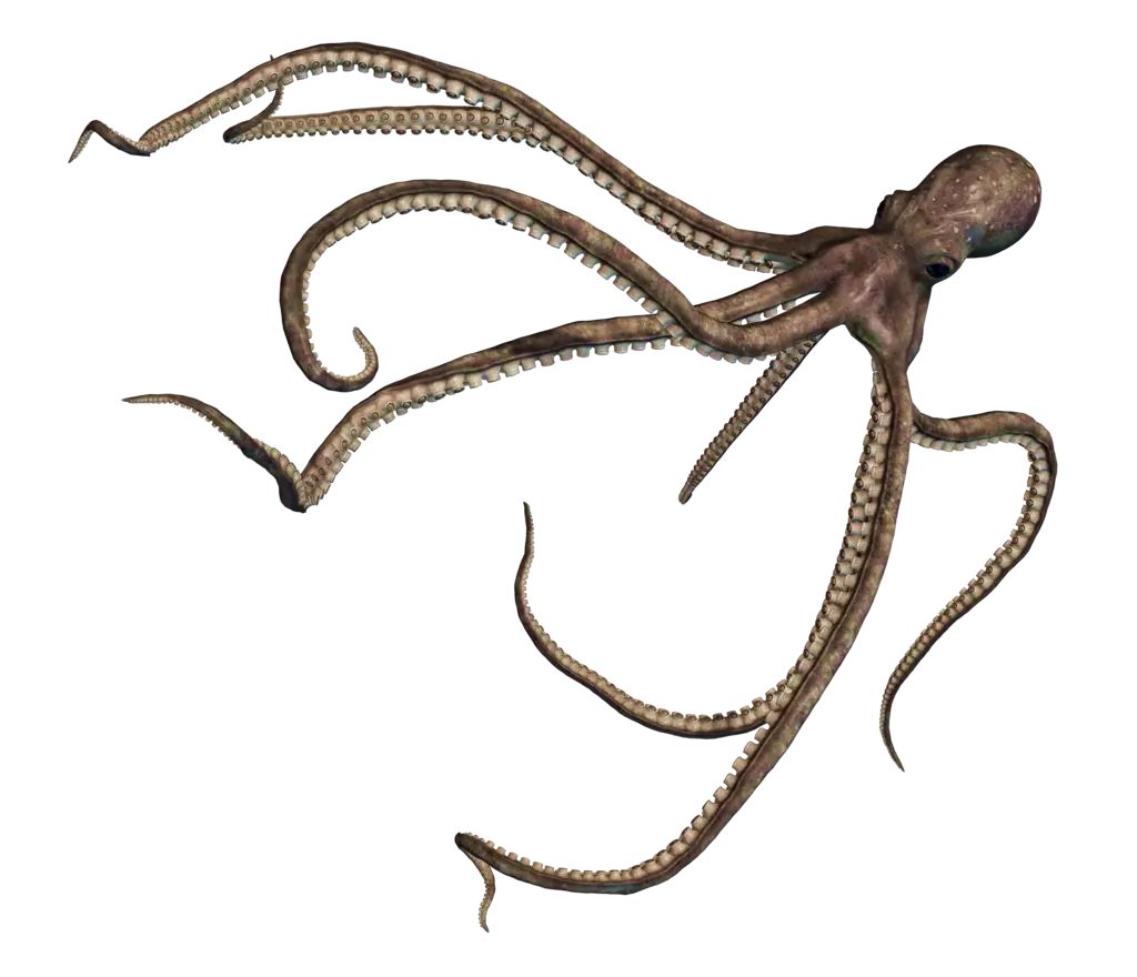 Realistic Octopus Illustration with Tentacles