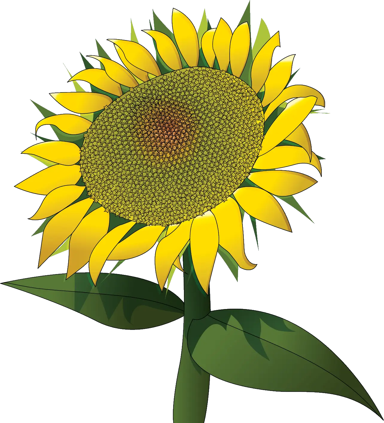 Flat Sunflower Illustration