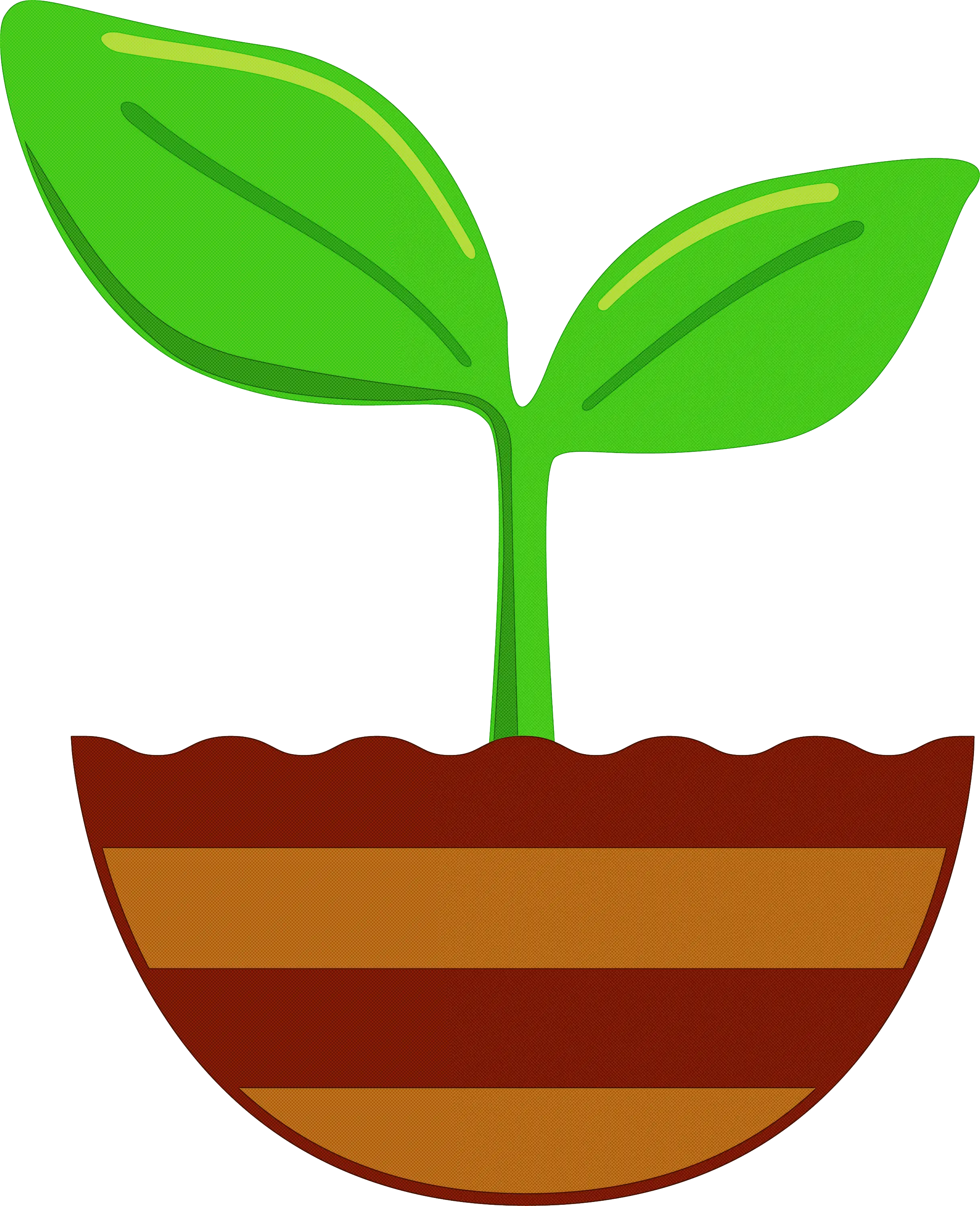 Green Plant Sprout Growing from Soil