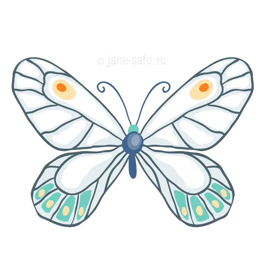 Charming Cartoon Butterfly Illustration