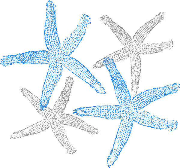 Blue and Gray Starfish Illustration
