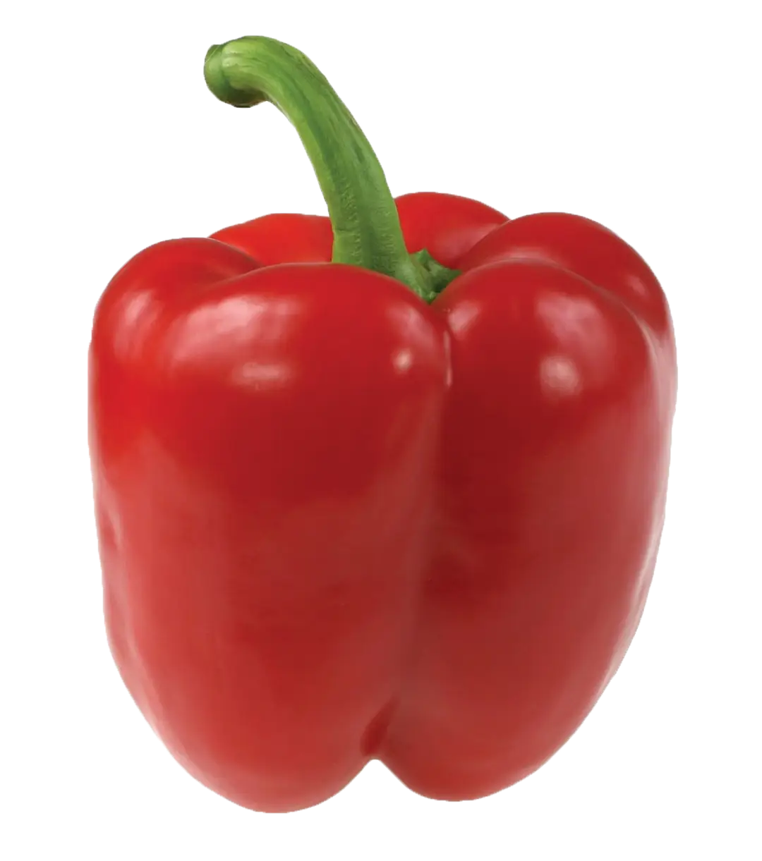 Fresh Red Bell Pepper